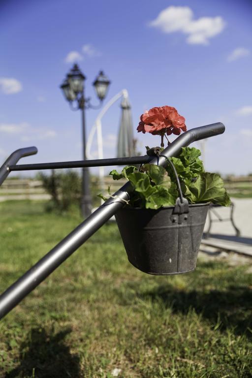 Agriturismo I Due Merli Hotel Zanica Kültér fotó